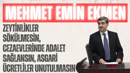 DEVA Partili Mehmet Emin Ekmen: ‘Zeytinlikler sökülmesin, cezaevlerinde adalet sağlansın, asgari ücretliler unutulmasın’