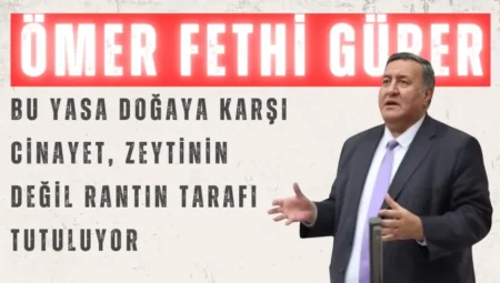 CHP’li Ömer Fethi Gürer: “Bu yasa doğaya karşı cinayet, zeytinin değil rantın tarafı tutuluyor”