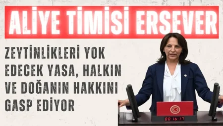 CHP’li Aliye Timisi Ersever: “Zeytinlikleri yok edecek yasa, halkın ve doğanın hakkını gasp ediyor”